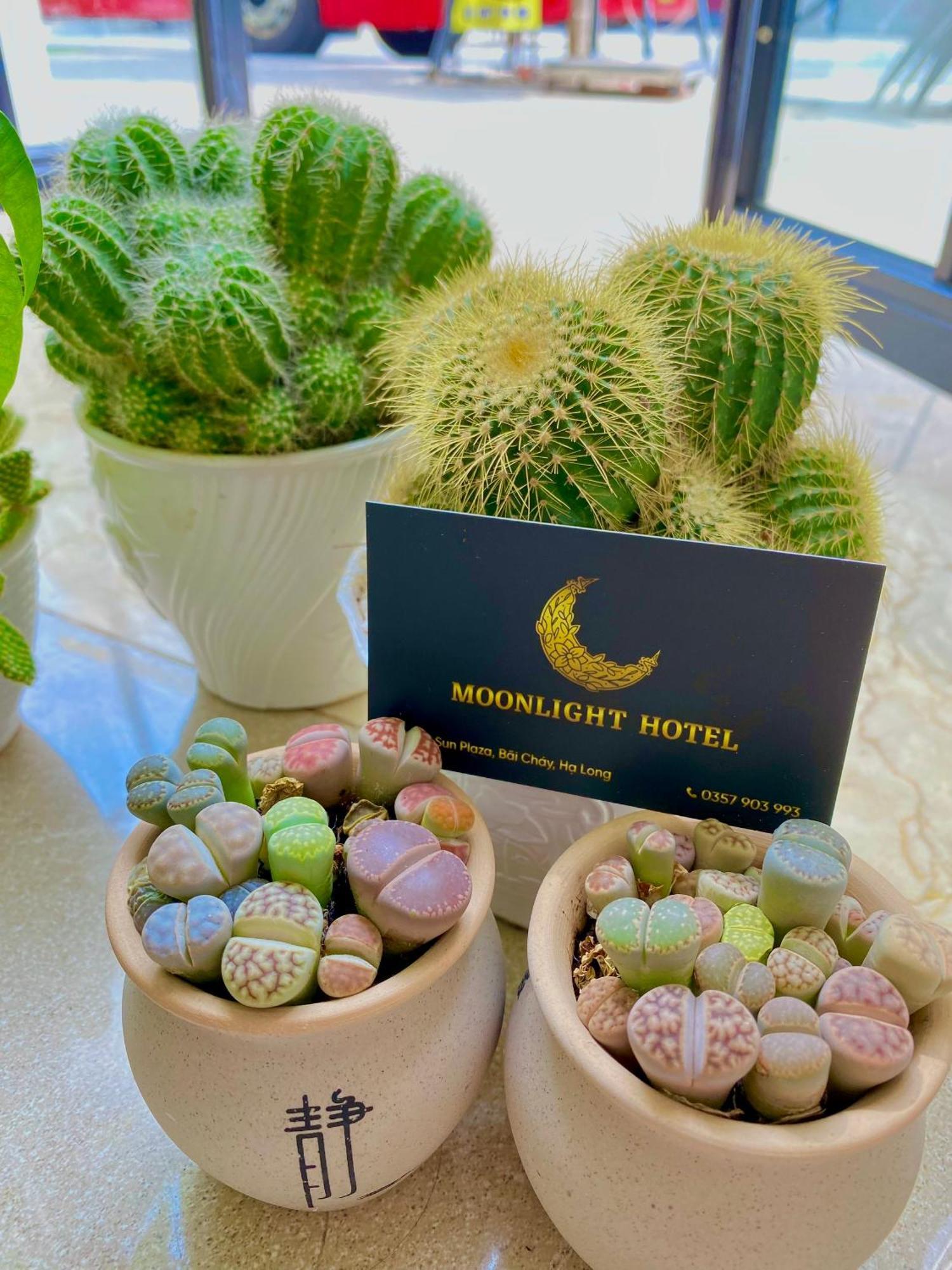 Moonlight Hotel Ha Long Dış mekan fotoğraf